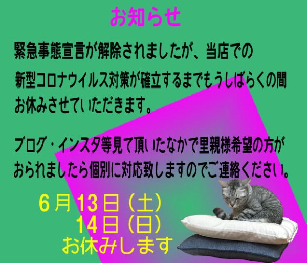 そっち ー ブログ