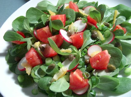 塩漬けレモンがアクセントの 夏サラダ ギリシャのごはん