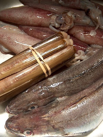 マテガイご飯と燻製 ギリシャのごはん