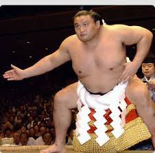 貴乃花 最強横綱たち