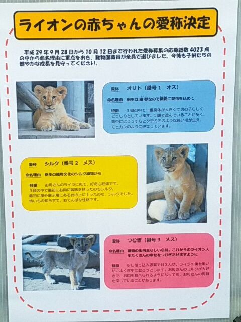 桐生が岡動物園 : sexy☆ラーメン部ログ 3！