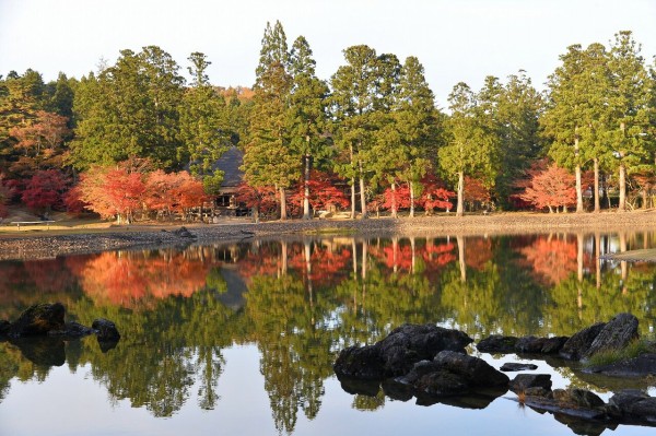 平泉 中尊寺と毛越寺の紅葉 僕の歩く町３