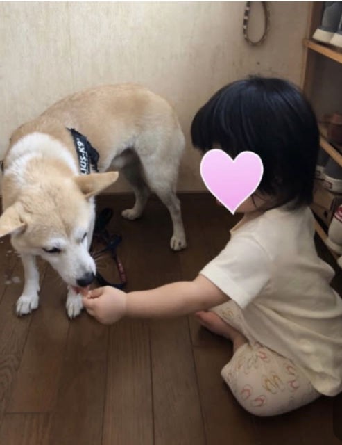 イチロー 正式譲渡になりました 幸せの架橋 In 岡山