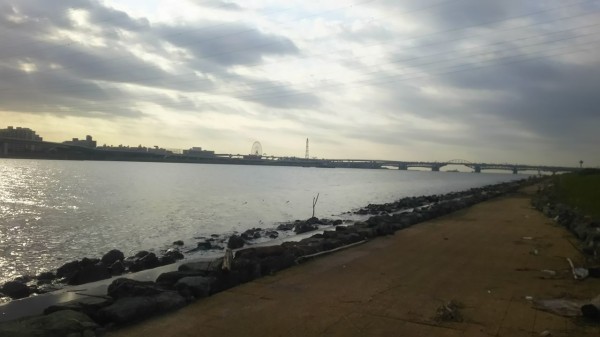 シーバス釣行記 荒川河口域 15 10 29 Que Sera Sera Fishing Diary