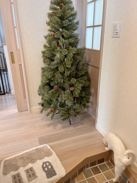 悩んで悩んで、ついに勇気を出して買ってしまった物 : 柴犬 悩んで悩んで、ついに勇気を出して買ってしまった物 : 柴犬