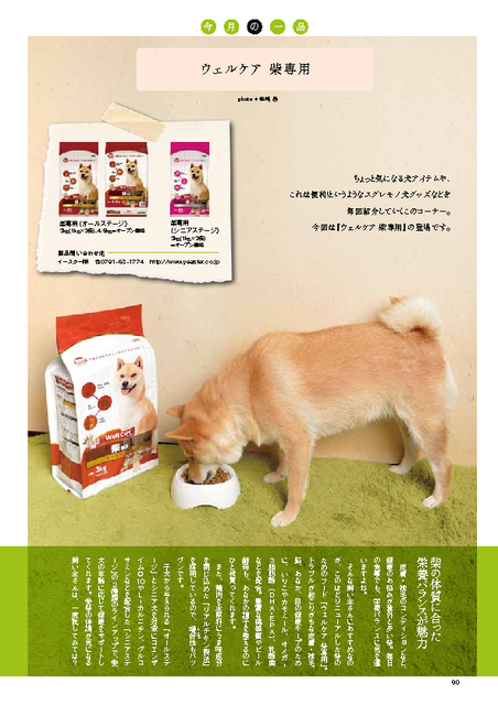 答え合わせとモデル業にまんざらでもない柴犬 柴犬どんぐり三毛猫たんぽぽ Powered By ライブドアブログ