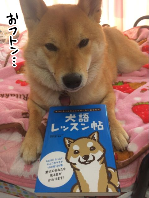 犬語レッスン帖 の心理テストがなかなか面白い 柴犬どんぐり三毛猫たんぽぽ Powered By ライブドアブログ