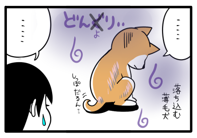 子犬の時期にやってはいけないこと 柴犬どんぐり三毛猫たんぽぽ Powered By ライブドアブログ