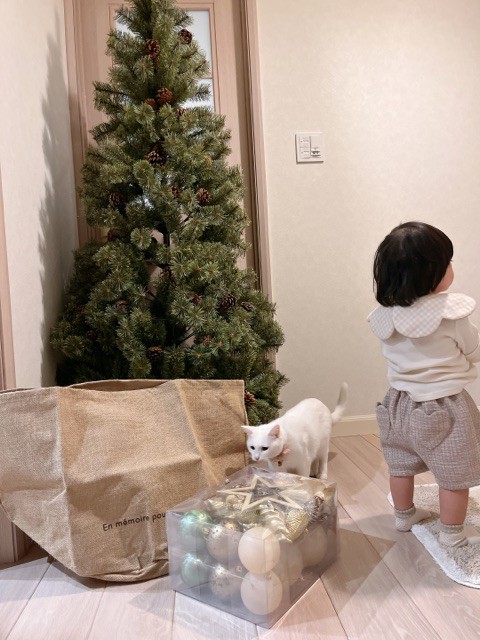 悩んで悩んで、ついに勇気を出して買ってしまった物 : 柴犬 悩んで悩んで、ついに勇気を出して買ってしまった物 : 柴犬