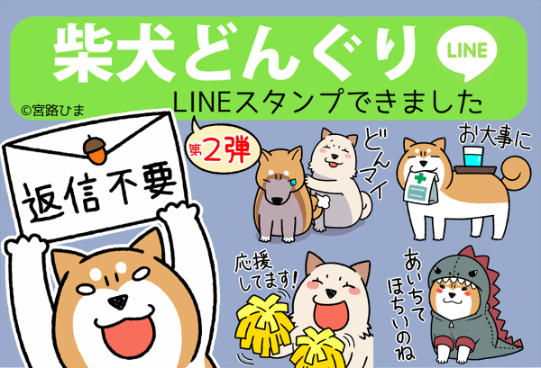 販売開始！】柴犬どんぐりLINEスタンプ第２弾 : 柴犬どんぐり三毛猫