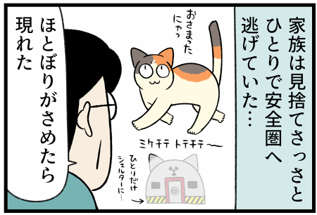 大きな地震があった時の犬猫たち、それぞれの反応が全く違った : 柴犬