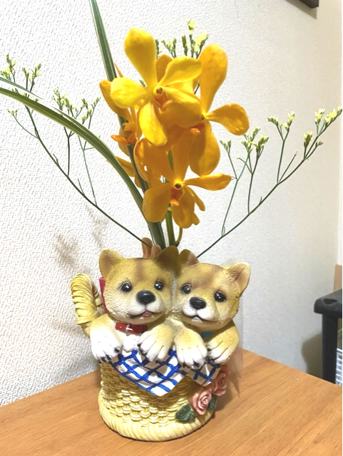 お花が自動でポストに届く『bloomee』を初体験してみた : 柴犬どんぐり