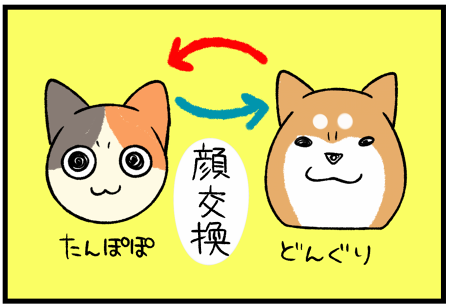 目の小さすぎる柴犬と目の大きすぎる三毛猫の目を交換してみたら 新種が生まれた 柴犬どんぐり三毛猫たんぽぽ Powered By ライブドアブログ