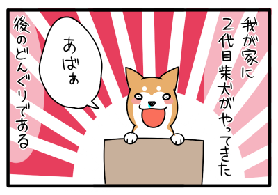 どんぐり の名付けの由来 子犬編 柴犬どんぐり三毛猫たんぽぽ Powered By ライブドアブログ