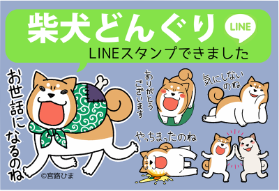 柴犬どんぐりLINEスタンプ販売開始！ : 柴犬どんぐり三毛猫たんぽぽ