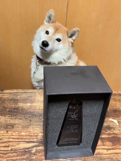 ライブドアブログ OF THE YEAR 2023 ブログ職人賞 受賞しました : 柴犬