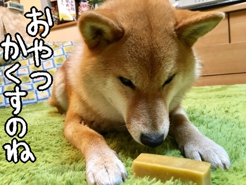 ヒマラヤチーズをチンしてみたら こんなんなりました 柴犬どんぐり三毛猫たんぽぽ Powered By ライブドアブログ