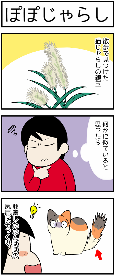 じゃれねこ『2月☆⑧たんぽぽ×イエロー』