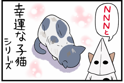 柴犬どんぐり三毛猫たんぽぽ - NNNと幸運な子猫シリーズ Powered by