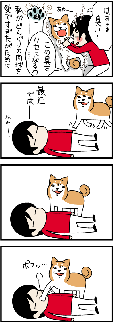 猫 肉球 臭い 壁紙画像マンガ