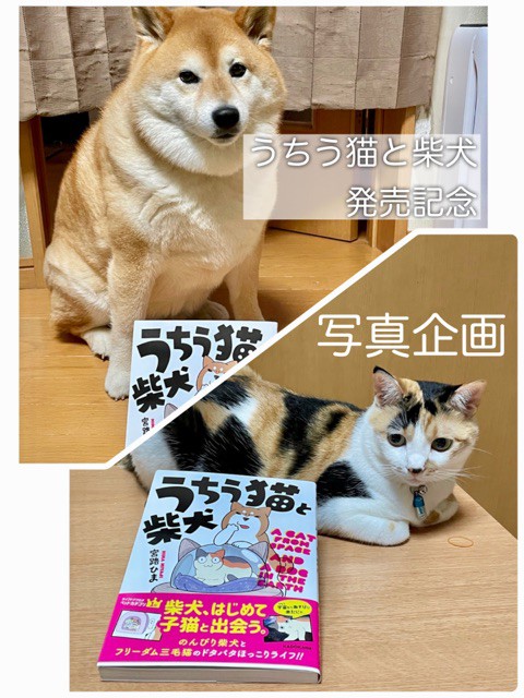 うちう猫と柴犬』と一緒に撮った犬猫写真を見せてもらう企画【写真大量