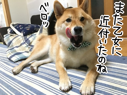 おっちゃん 乙女 リボンがダメなら蝶ネクタイをすればいいのよ 柴犬どんぐり三毛猫たんぽぽ Powered By ライブドアブログ