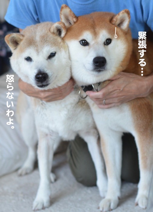 専用ページ ♡みっちー♡様 専用ページ ♡みっちー♡様