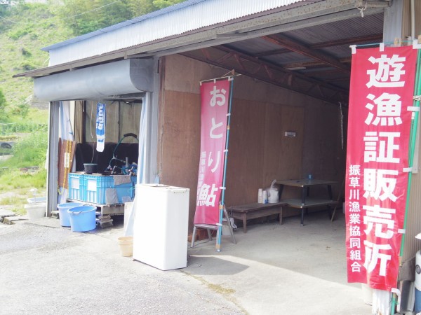 愛知県東栄町の振草川で鮎釣り名人から 鮎の友釣りを教えてもらったよ 奥三河ガサゴソ旅女会