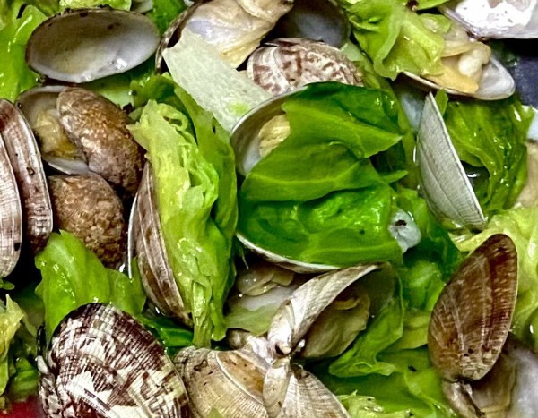 三つ葉 と思って手に取ってみたらパクチーだったときの衝撃 Natural Vege Life