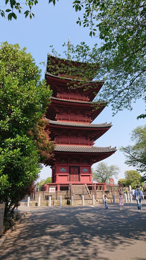 池上本門寺 Albicocca