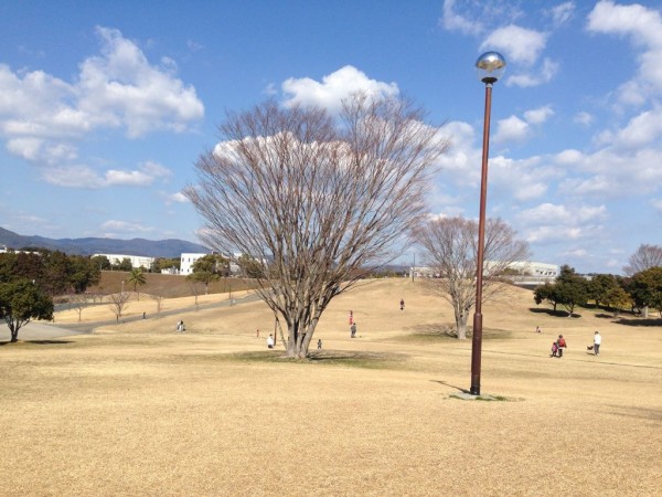 浜松の隠れた梅の名所 ソリ遊びもできる 都田総合公園 浜松ブログ おすすめ観光 グルメを子供と遊ぶ