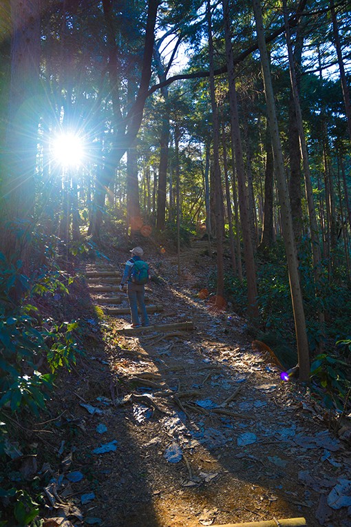 いろはの森で行く高尾山 小仏城山 景信山 四季彩ペダル