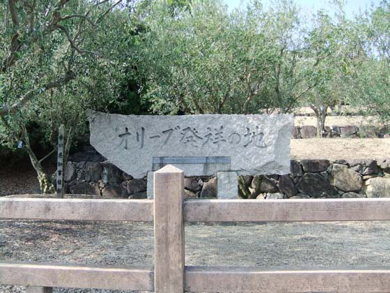 道の駅｢小豆島オリーブ公園｣ : 四国観光スポットblog