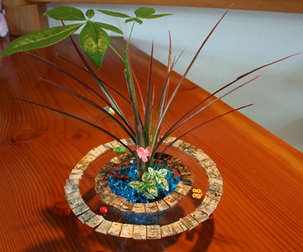 クリスタルソイルを使って 夏の涼しげなハイドロカルチャーの寄せ植え シクラメン生産直売 宮子花園