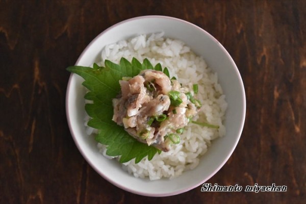 今日の のっけごはん 鯵のなめろうのっけごはん 四万十住人の 簡単料理ブログ Powered By ライブドアブログ