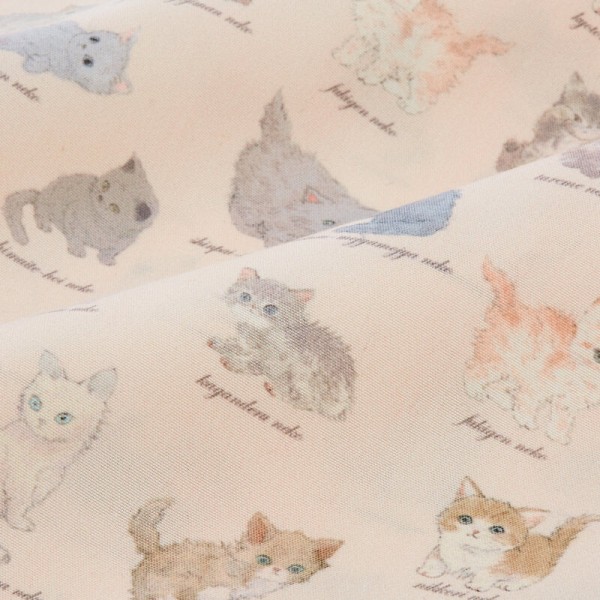 Franche Lippee Memorial Book ムック本付録 ねこ図鑑柄エコバッグ 雑誌付録パトロール Franche Lippee Memorial Book ムック本付録 ねこ図鑑柄エコバッグ 雑誌付録パトロール
