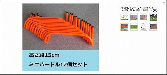 のぼりポール ミニハードル 食いしん坊シモさん