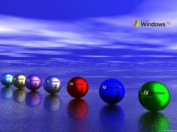 パソコンの壁紙 食いしん坊シモさん