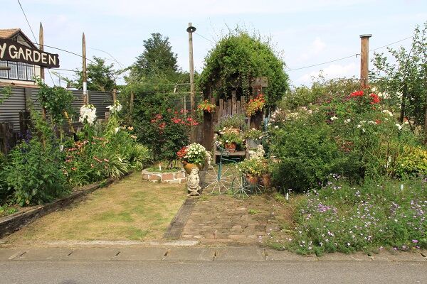 ７月下旬でも花いっぱいの増山邸 しもつけオープンガーデンクラブ