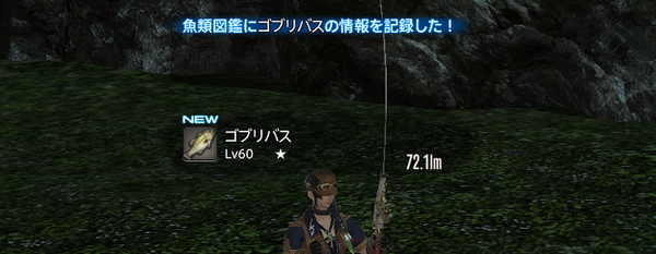 魚類伝承録まとめ 蒼天編 Lost Hollow In Eorzea