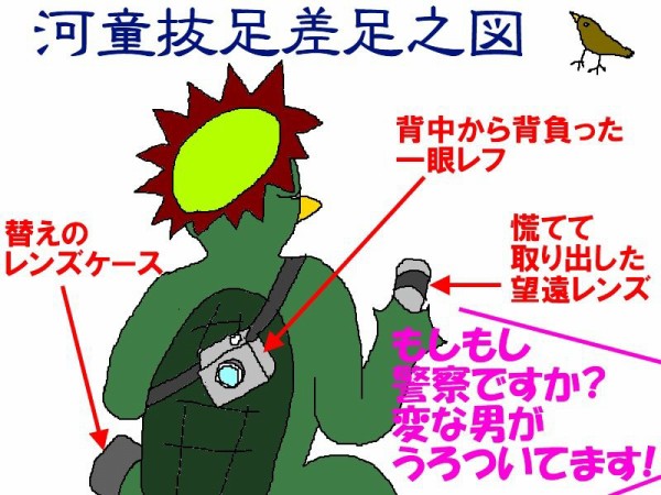 カメラ小僧その後(それでも生きてゆく私120) : ニヤッとする話