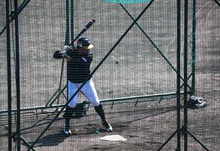 栃木ゴールデンブレーブス戦 3月31日 N田女史レポート 信濃グランセローズスタッフのブログ