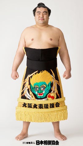 赤ちゃんはみんな朝青龍に似てるのか 親になったわたしの成長日記 赤ちゃんはみんな朝青龍に似てるのか 親になったわたしの成長日記
