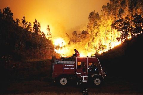 ポルトガルの山火事 ひかたま 光の魂たち