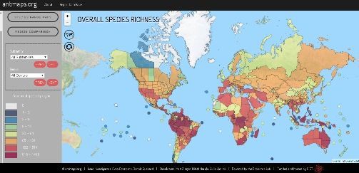 アリの世界 世界アリの地図 ひかたま 光の魂たち