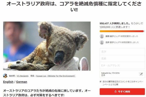 コアラ 絶滅 危惧 種