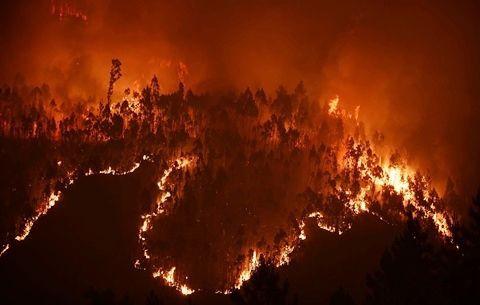ポルトガルの山火事 ひかたま 光の魂たち