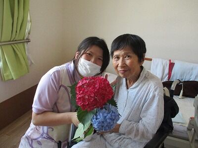 紫陽花の花 ひびきのもり さわやか 日記