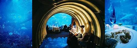 巨大水槽レストラン Al Mahara About Dubai ドバイ旅行情報