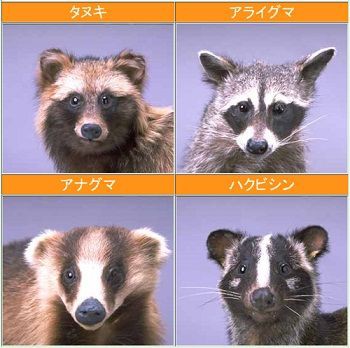 農作業報告 白木農園だより